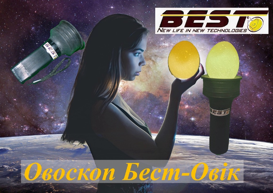Овоскоп для яєць Бест овік Київ - фото 1