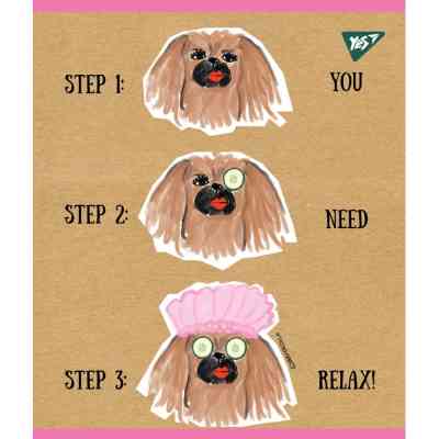 Тетрадь Yes А5 BBH Крафт 18 листов клетка (765085) Винница