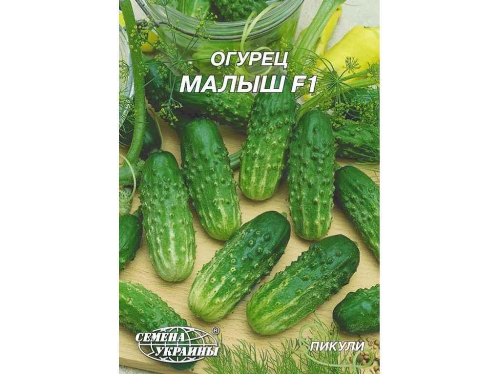 Гігант Огірок Малыш F1 (гібрид) 4 г (10 пачок) ТМ НАСІННЯ УКРАЇНИ Київ - фото 1