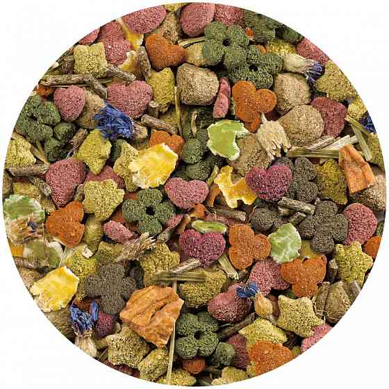 Корм для грызунов Витакрафт Vitakraft Emotion Beauty для морских свинок, 600 г Винница