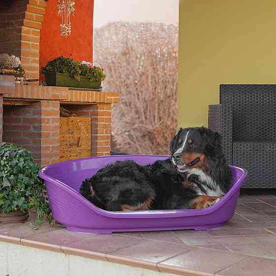 Пластиковый лежак для котов и собак Ferplast Siesta Deluxe (Ферпласт Сиеста Делюкс) 111 х 80.5 х h 33.5 см - SIESTA DELUXE 12, Черный Запорожье