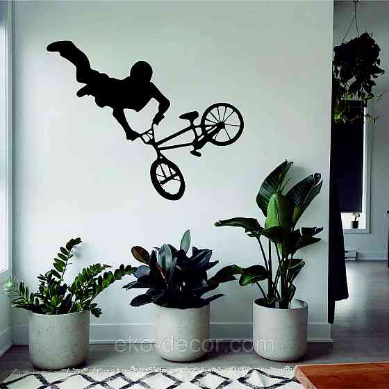 Декоративне настінне Панно «Велофрістайл», Декор на стіну Київ