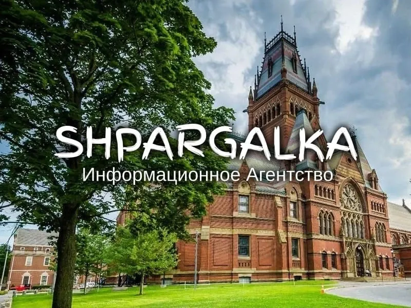 Речь на защиту Вкр на заказ в Украине Днепр - изображение 1