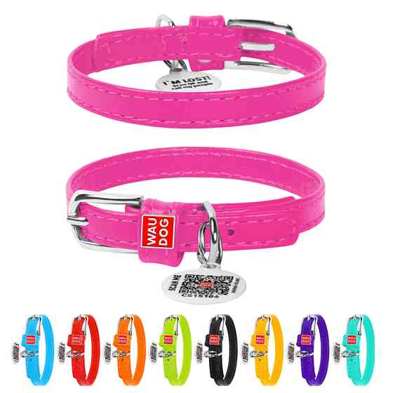 Нашийник для собак шкіряний WAUDOG Glamour з QR паспортом, без прикрас, XXS, Ш 9 мм, Дов 19-25 Коломыя