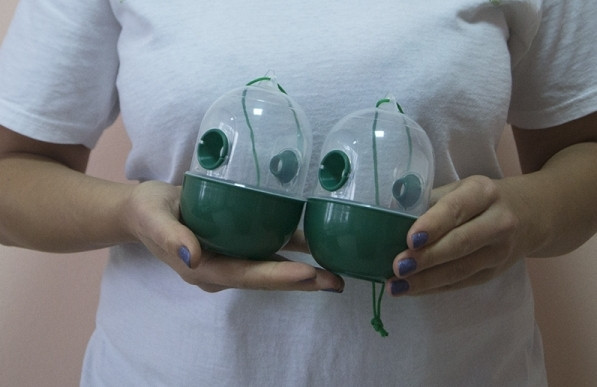 Ловушки для ос ProGarden, 2 шт Днепр - изображение 3