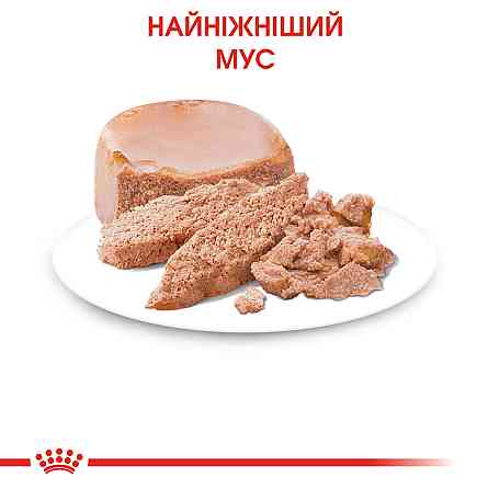 Влажный корм (мусс) для котят в возрасте от 1 до 4 месяцев ROYAL CANIN MOTHER & BABYCAT Cans 0.195 кг Киев