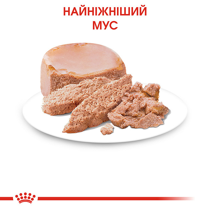 Влажный корм (мусс) для котят в возрасте от 1 до 4 месяцев ROYAL CANIN MOTHER & BABYCAT Cans 0.195 кг Киев - изображение 4