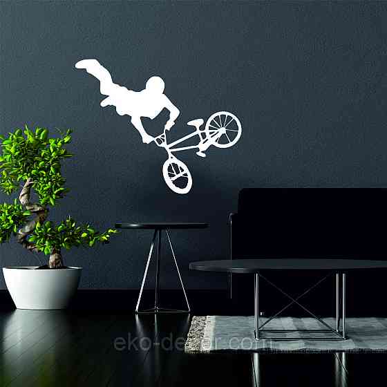 Декоративне настінне Панно «Велофрістайл», Декор на стіну Київ