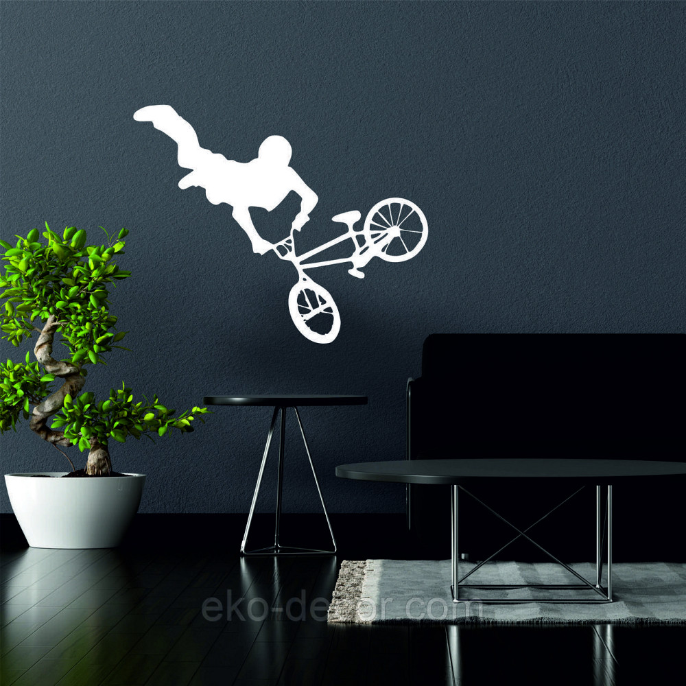 Декоративне настінне Панно «Велофрістайл», Декор на стіну Київ - фото 5