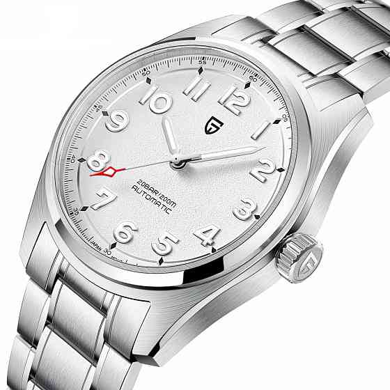 Pagani Design PD-1717 Silver-White SBR Київ