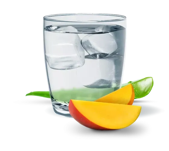 УЦІНКА Алое манго Рослинний концентрат Гербалайф Напій для Травлення, 473 мл Напій на Основі Алое Дніпро