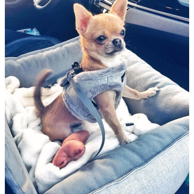 Автомобільне крісло для тварин Chloe's Home Paris M/L 65х45 см сіре (CLH1028) Вінниця - фото 2