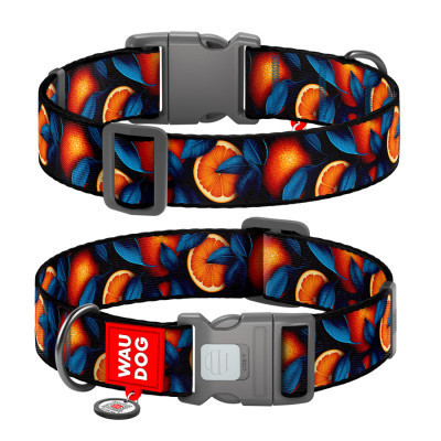 Нашийник для тварин WAUDOG Nylon з QR паспортом "Апельсини" пластиковий фастекс М (281-4054) Вінниця - фото 1