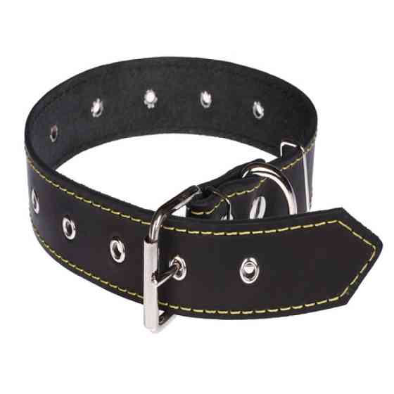 Нашийник 512 35мм "Класик" безрозмірний Вінниця