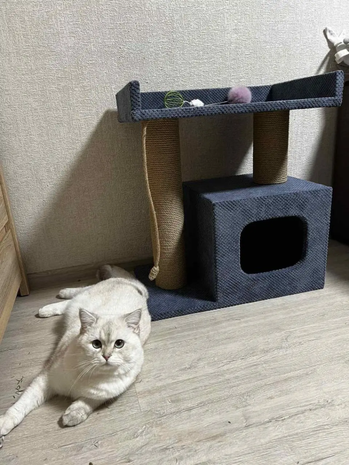 Когтеточка домик с лежанкой 65х55х35 см джутовая дряпка для кота мебельный велюр Киев - изображение 6