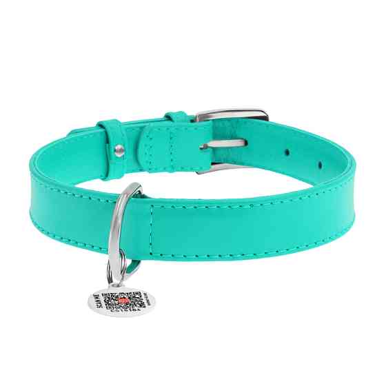 Нашийник для собак шкіряний WAUDOG Glamour з QR паспортом, без прикрас, L, Ш 25 мм, Дов 38-49 с Коломыя