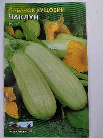 Кабачок кустовой 