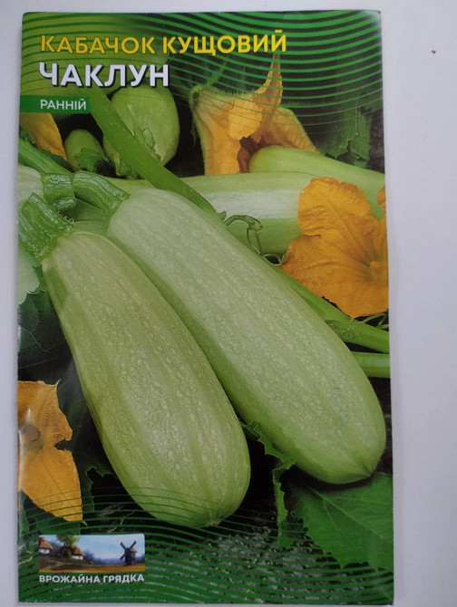 Кабачок кустовой 