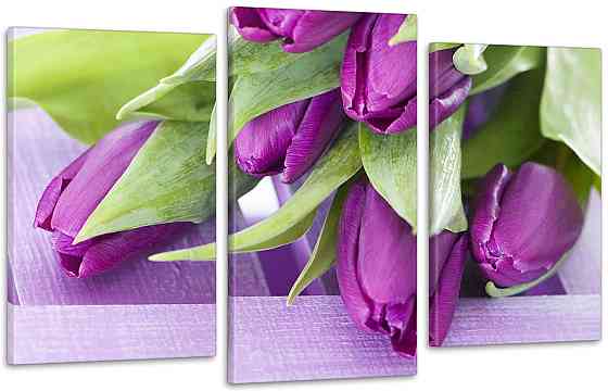 Модульна картина Квіти Тюльпани Art-7_3 Київ