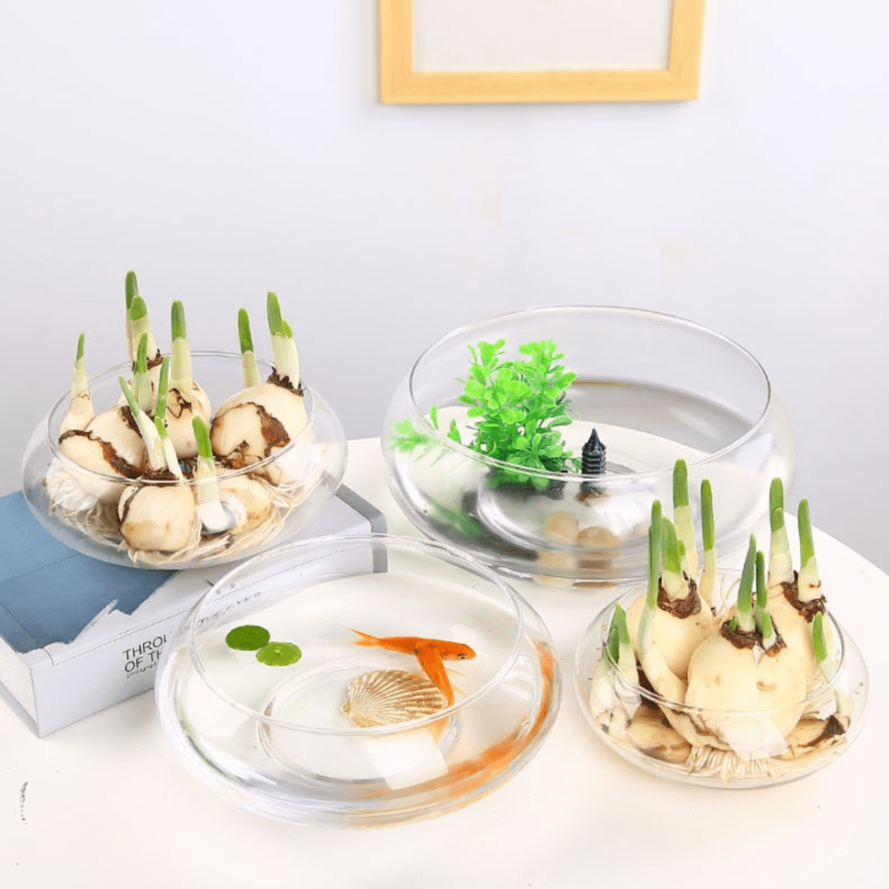 Емкость для флорариума. Чаша для флорариума, моссариума, цветочных композиций. Стеклянная ваза. Флорариум-ваза Одесса - изображение 7