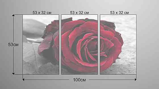 Модульная картина Роза Art-32_3А Киев