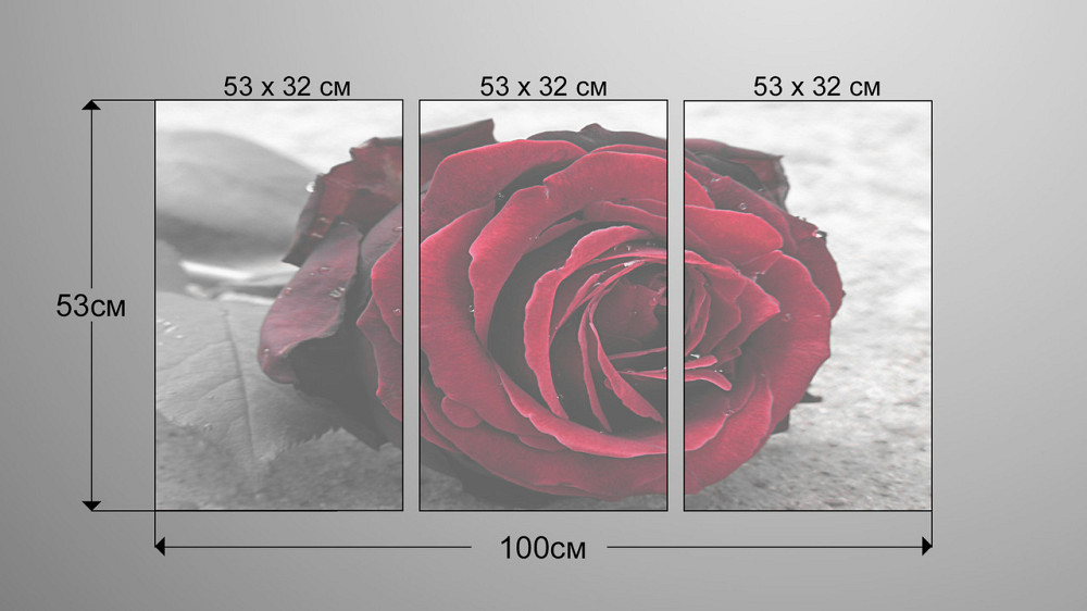 Модульная картина Роза Art-32_3А Киев - изображение 3