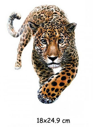 Термонаклейка на одежду Леопард Киев - изображение 3