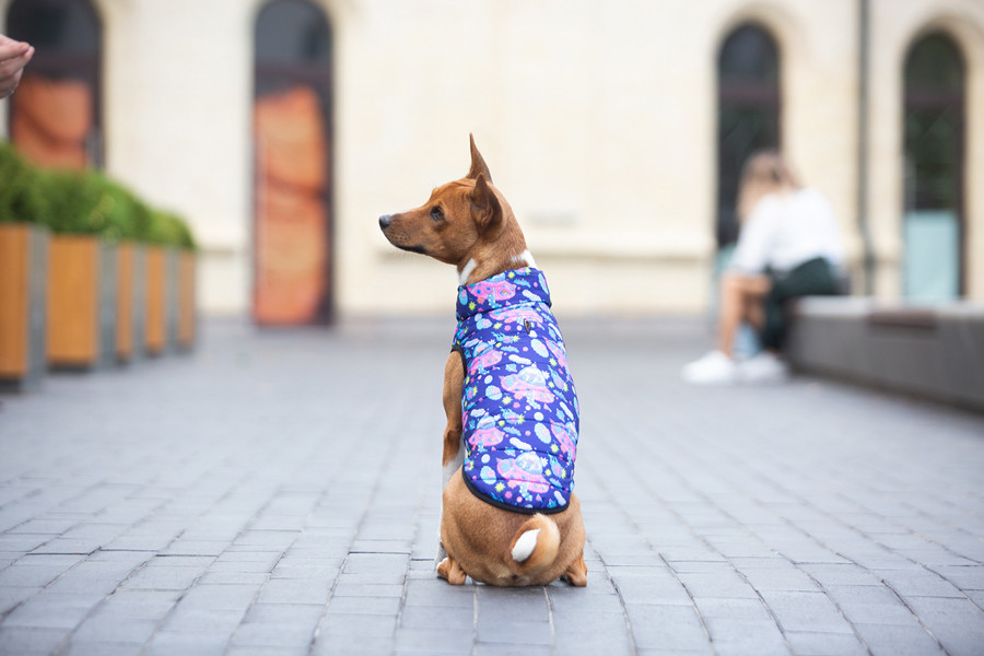 Курточка для собак WAUDOG Clothes малюнок "Рік та Морті 1", L65, В 87-90 см, С 60-65 см Коломыя - изображение 3