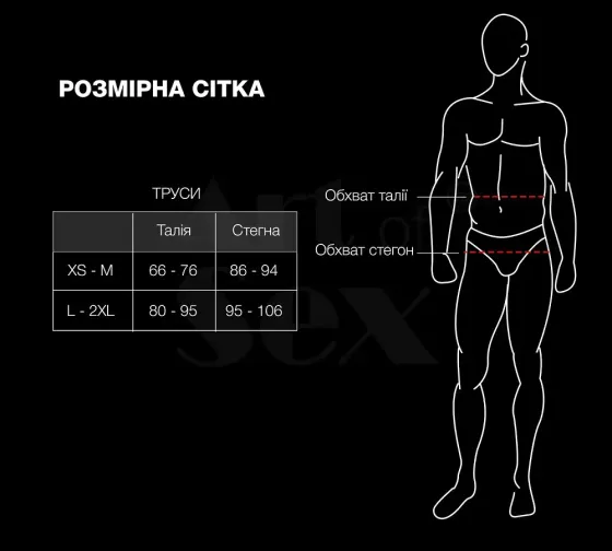 Чоловічі труси з сітки Art of Sex — Demir, колір чорний, розмір XS-M Львів