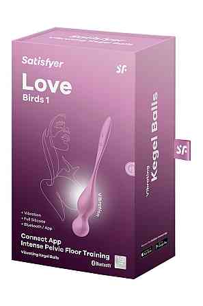 Смарт-шарики Кегеля Satisfyer Love Birds 1 с вибрацией, розовые Sex Aura Киев