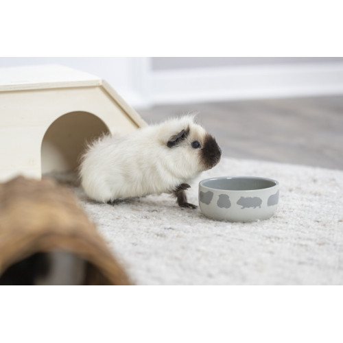 Миска Trixie для гризунів з принтом морська свинка керамічна 250 мл 11 см Київ - фото 9