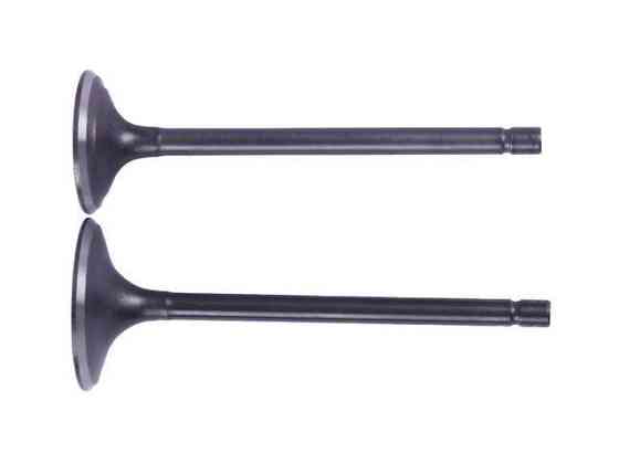 Клапани на бензиновий двигун СG250 Мукачево