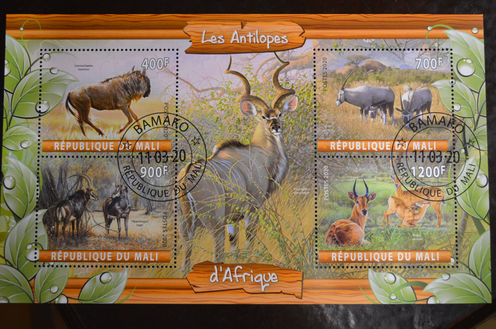 Малі. Марки. Фауна. Блок. 2019 рік (У-2) Полтава - фото 1