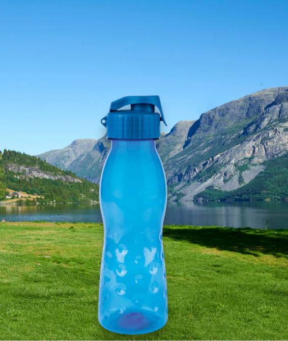 Бутылка для напитков Ernesto 0.7 л синий Киев - изображение 1