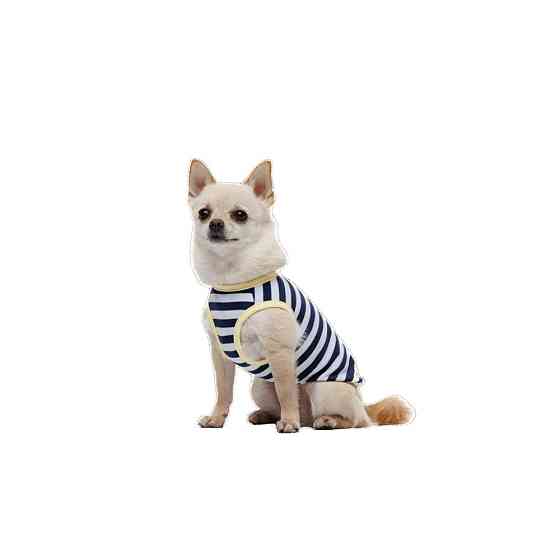 Майка Pet Fashion Tropic для собак L Київ