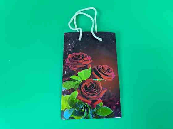 Пакет паперовий подарунковий малий 11/18/5 (арт М141) (12 шт.) Харків