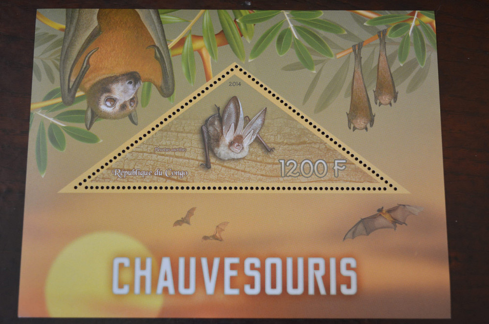 Конго. Фауна. Личности. Блок. 2014 р. (А-34) Полтава - фото 1