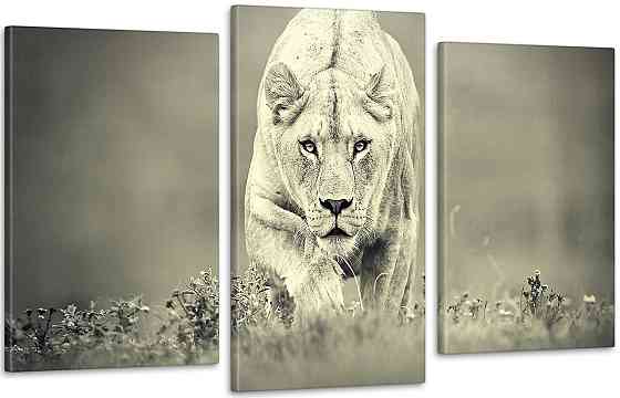 Модульная картина Природа Тигр Art-207_3 100x150 см Киев