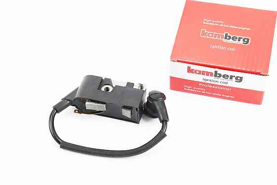 Котушка запалювання 4500/5200/5800 Київ