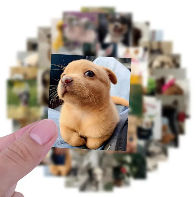 50 милых реалистичных наклеек с щенками. Водонепроницаемые виниловые эстетические наклейки с собакам Киев - изображение 1