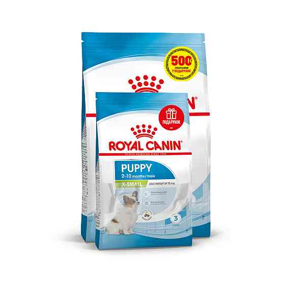 Корм для щенков миниатюрных пород ROYAL CANIN XSMALL PUPPY 1.5 кг + 500 г в подарок Киев