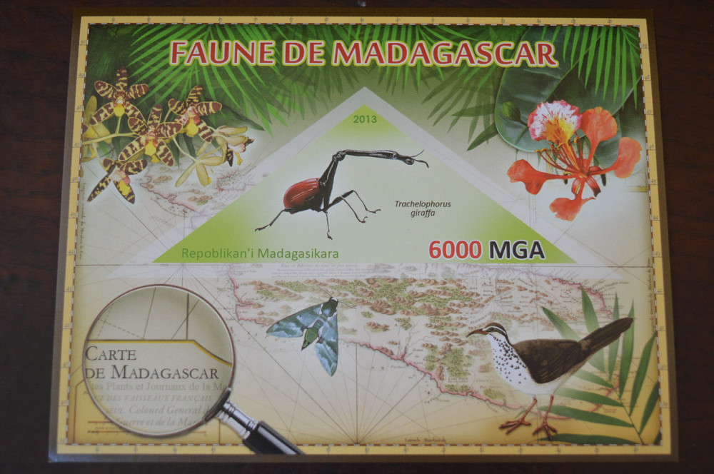 Мадагаскар. Фауна. Личности. Блок. 2014 р. (А-34) Полтава - фото 1