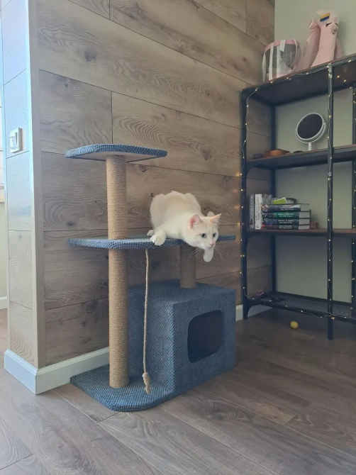 Когтеточка домик с лежанкой 88х55х35 см джутовая дряпка комплекс для кошек Київ - фото 5