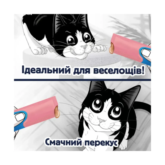 Вологий додатковий корм FELIX Смачні моменти для дорослих котів, з лососем, 4х10 г Київ