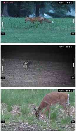 Цифровий приціл нічного бачення ATN X-Sight LTV 5-15X. Київ