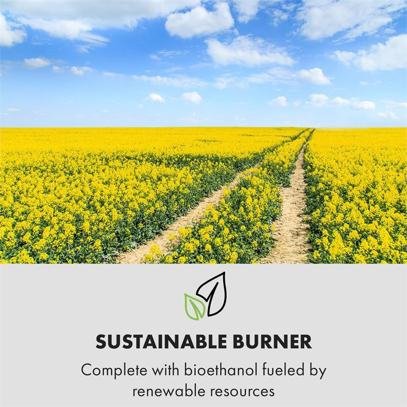 Phantasma Assemble этаноловый камин бездымная горелка из нержавеющей стали 2h имитация дерева (Германия, Ровно - изображение 7