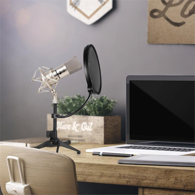 CM001S Набір мікрофонів Конденсаторний мікрофон V2 Стійка для мікрофона із захистом від попмузики сріблястий Рівне - фото 2