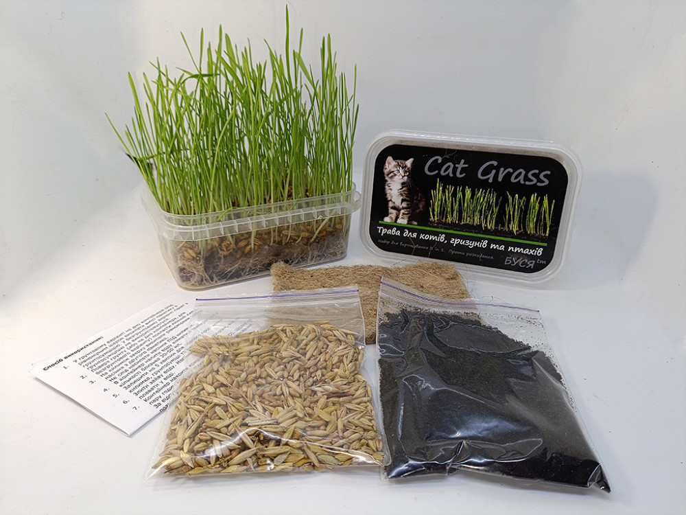 Трава для котів, гризунів та птахів - набір для вирощування свіжої зелені Cat Grass тм Буся Зміїв - фото 2