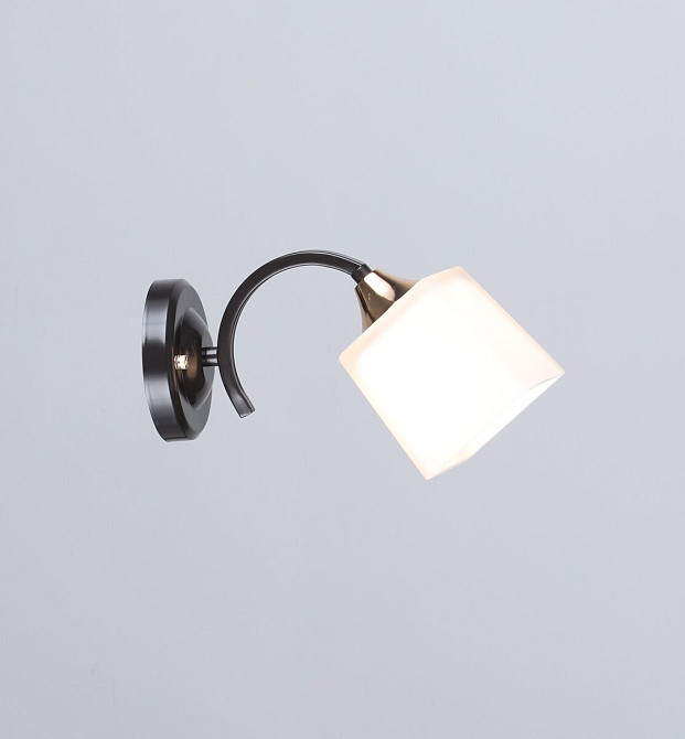 Бра настінне Sirius B N4474/1 COFFEE+FGD Коломыя - изображение 3