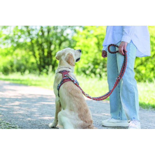 Trixie Cavo для собак регулируемый L–XL 2 м диаметр 18 мм рыжий-графитовый Киев - изображение 3